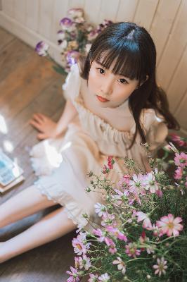 五月丁香，你知道它背后隐藏着怎样的秘密吗？！